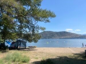Campers at Bear Creek Provincial Park told to ‘swim at your own risk’ after concerns of blue-green algae in Okanagan Lake – West Kelowna News