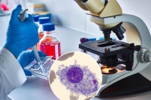 How ‘inflammaging’ is the new tool to end cancer