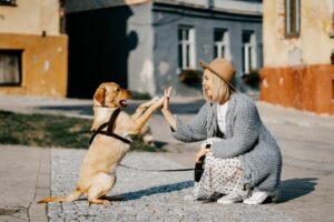 The answer to job stress? Why, a pet! The answer to job stress? Why, a pet!