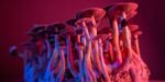 Psilocybin reduces alcohol use by altering gene expression in brain’s reward center