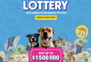 BC SPCA brings back lottery for animals in need – BC News