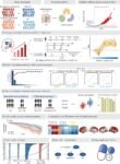 Study identifies new biomarkers of Alzheimer’s disease Study identifies new biomarkers of Alzheimer’s disease
