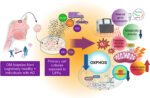 Study shows traffic-related ultrafine particles hinder mitochondrial functions in olfactory mucosa