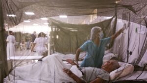 Dengue fever is — unfortunately — having a banner year. Can it be quelled? – NPR