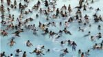 Water safety: What to know before heading to the beach